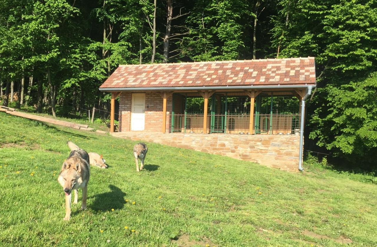Villa Chata Koniaren Pavlovce Exterior foto